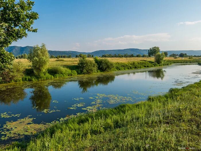 Хоперский заповедник река хопер. Хопёрский природный заповедник. Хопёрский заповедник река хопер. Озеро тальниковое хоперский заповедник. Новохоперский заповедник воронежской области.
