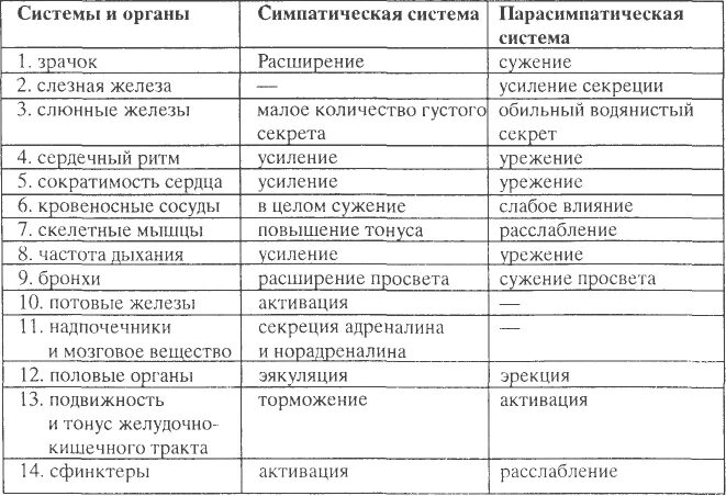 Симпатические нервы оказывают влияние. Функции симпатической и парасимпатической нервной системы таблица. Симпатическая и парасимпатическая нервная система таблица. Парасимпатическая система и симпатическая система. Симпатическая и парасимпатическая нервная система отличия таблица.