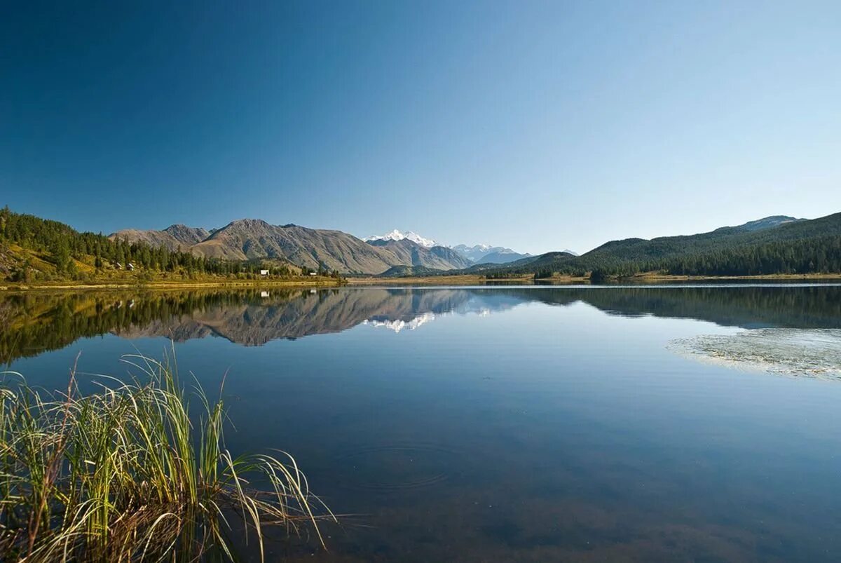 озеро маркаколь на алтае. восточно казахстанская 5. озеро маркаколь восточный казахстан. озеро маркаколь казахстан. восточно казахстанская 5.
