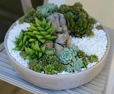 Center piece