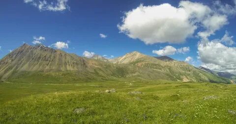 Алтай вариант