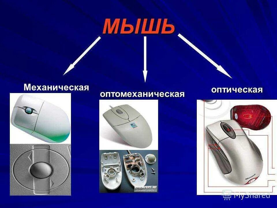 Типы компьютерных мышек. Формы компьютерных мышек. Классификация компьютерных мышей. Компьютерная мышь виды устройства. Мышь информатика 7 класс