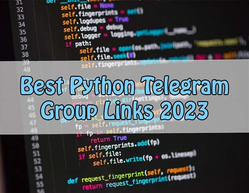 Python тг. Python тг