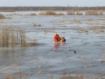 Погода в оке