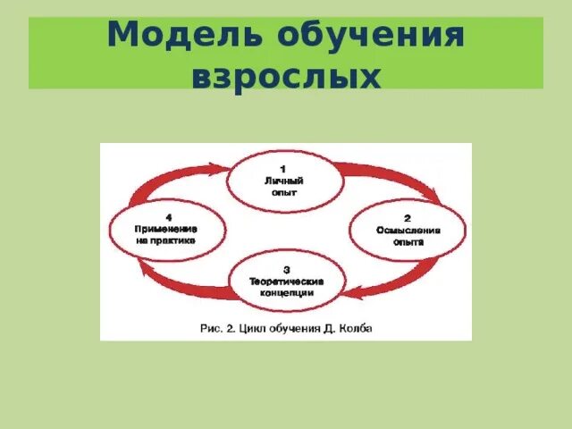 2 модели обучения. Модели обучения. Модель обучения взрослых людей. Модели обучаемого. Особенности обучения взрослых.