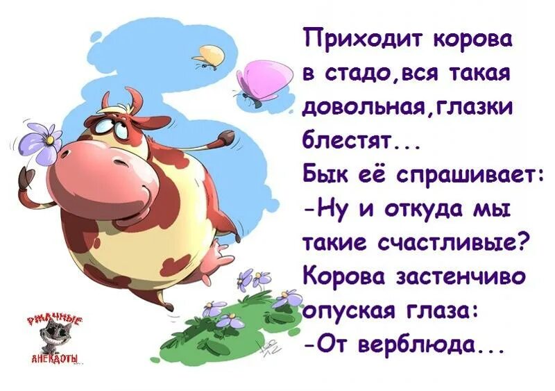Может быть все смешным