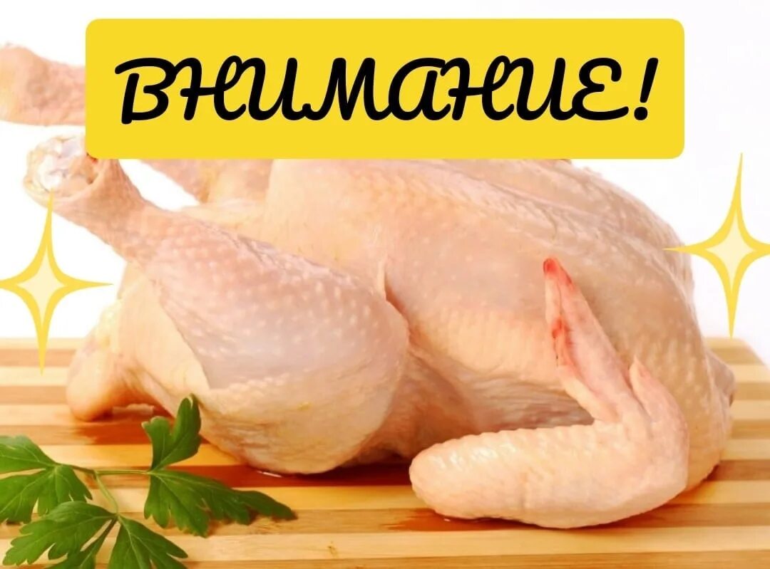 Курицы б на втором году
