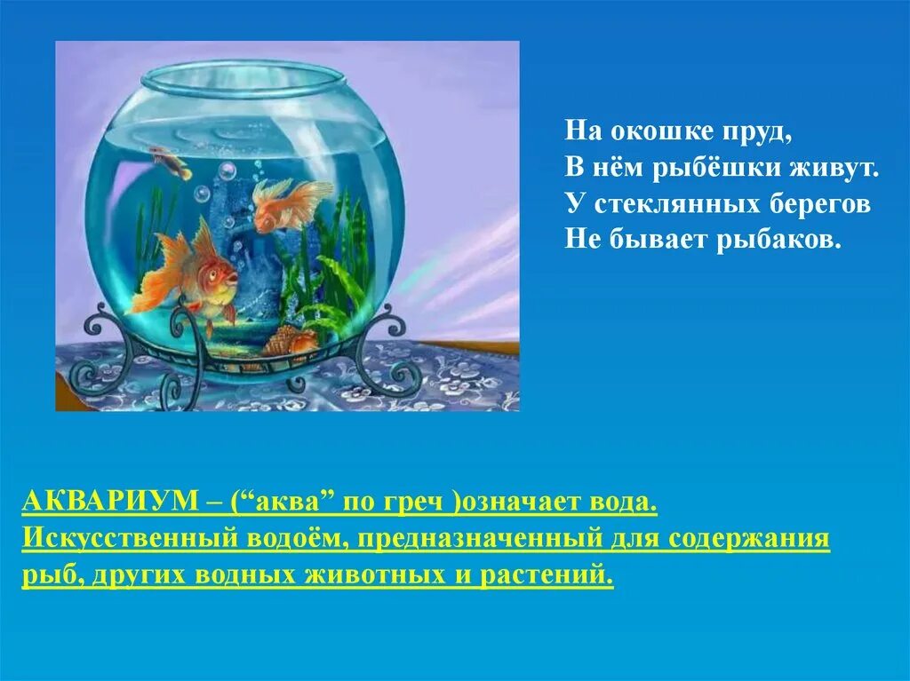 Проект аквариум. Аквариум и его обитатели презентация. Презентация на тему аквариум. Проект аквариум и его обитатели.