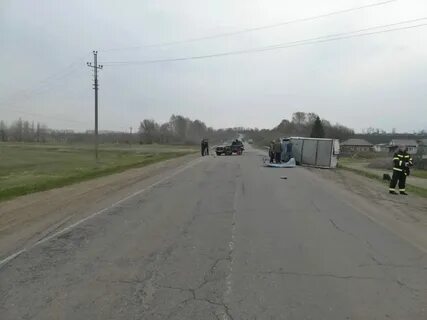 Погода токаревка тамбовская область рп5 на неделю