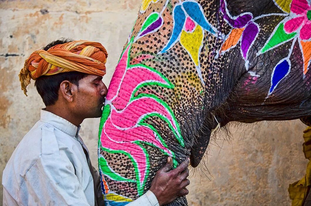 Фестиваль слонов — Джайпур, Индия. Индийские слоны. Фестиваль слонов в Индии. Индийский слон на празднике. Загадочная индия