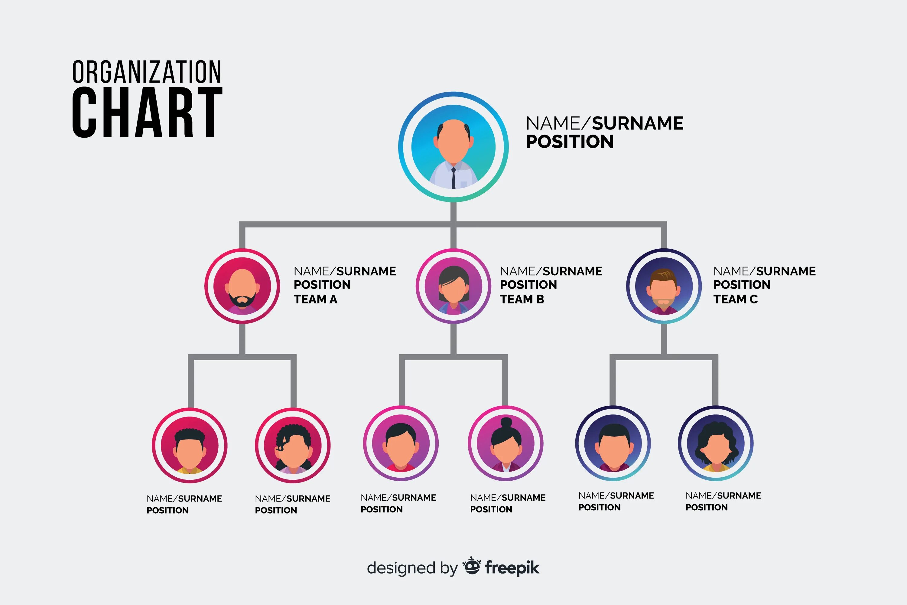 Hierarchical structure Companies. Hierarchical Organizational structure. Teams организационная диаграмма. Организационный чарт.