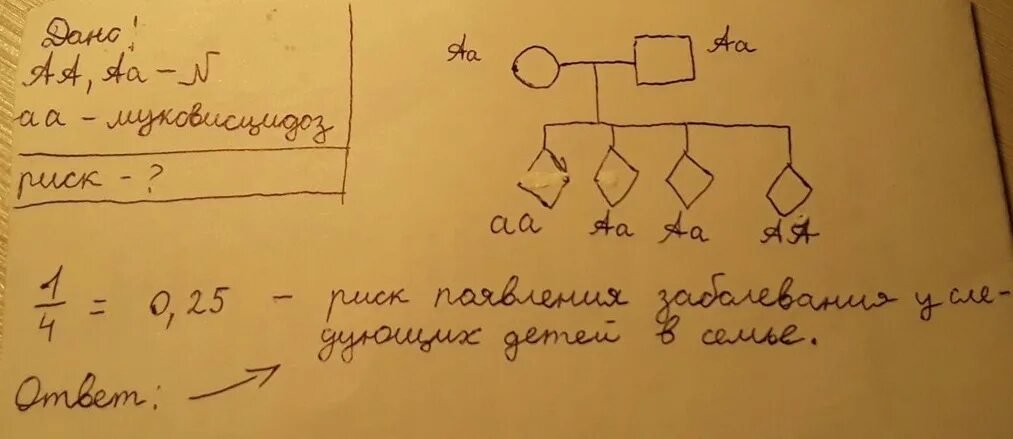 Генотип женщины страдающей гемофилией. Мужчина страдающий гемофилией и дальтонизмом. Генотип мужчины не страдающего дальтонизмом. Определите генотип мужчины, не страдающего дальтонизмом:. Определите генотип мужчины страдающего дальтонизмом Хин.