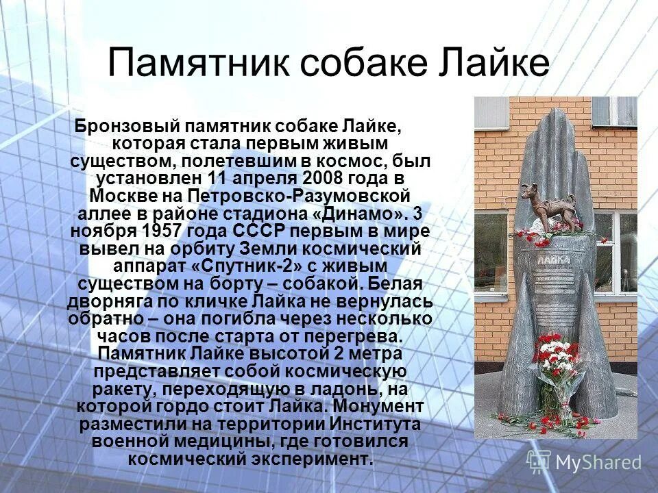 Памятник собаке поводырю. Памятник собаке изложение. Памятник сенбернарам в альпах. Памятник собаке в перми. Того памятник собаке.