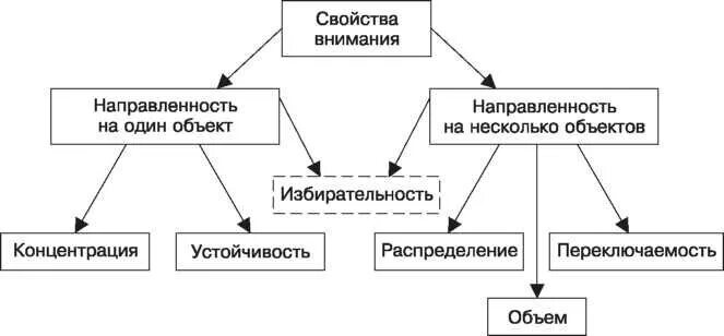 Элементы внимания. Схема внимание в психологии. Свойства внимания. Функции внимания в психологии таблица. Схема виды и свойства внимания.