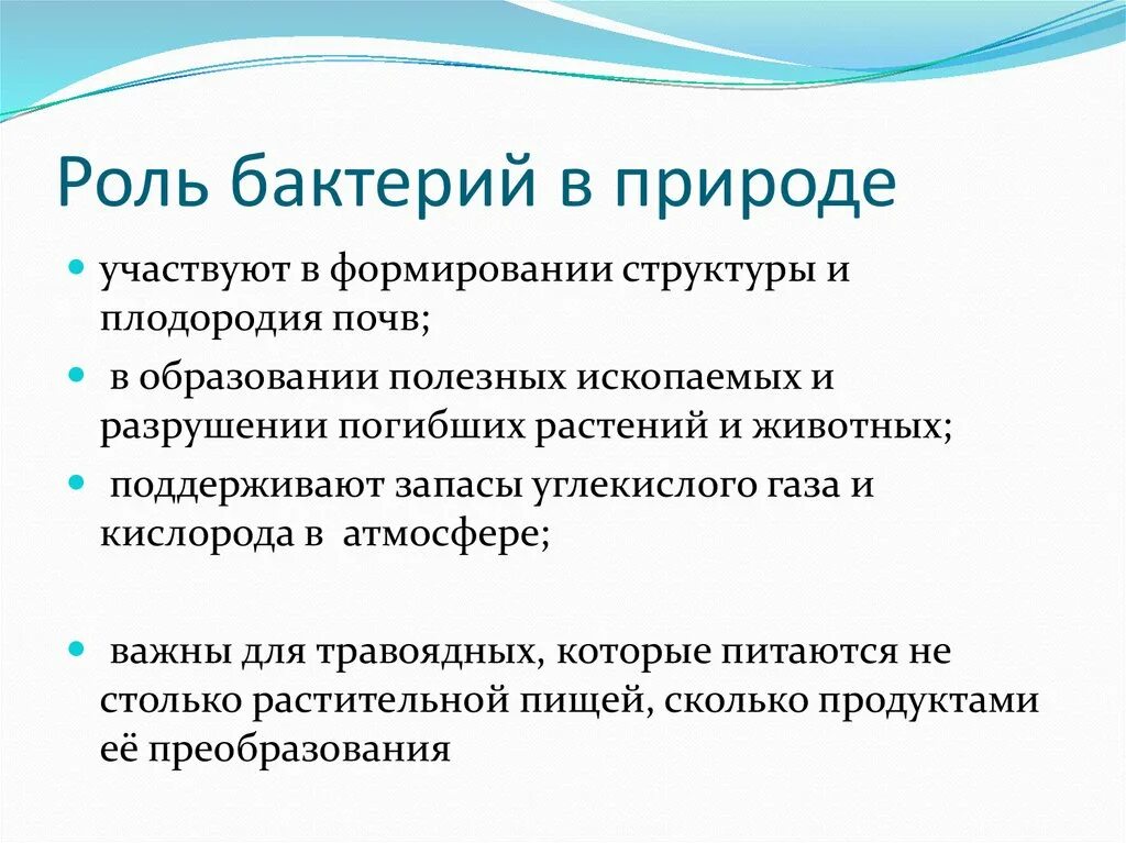 Роль бактерий в природе 7 класс кратко. Роль бактерий в природе. Функции бактерий в природе. Роль бактерий в природе и жизни человека. Значение бактерий в природе.