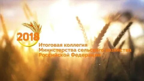 День министерства сельского хозяйства
