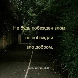 12 цитаты