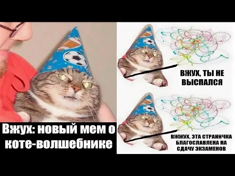 Мем с котом вжух вжух. Кот волшебник вжух. Вжух кот Мем оригинал. Вжух новый Мем. Звук перехода вжух