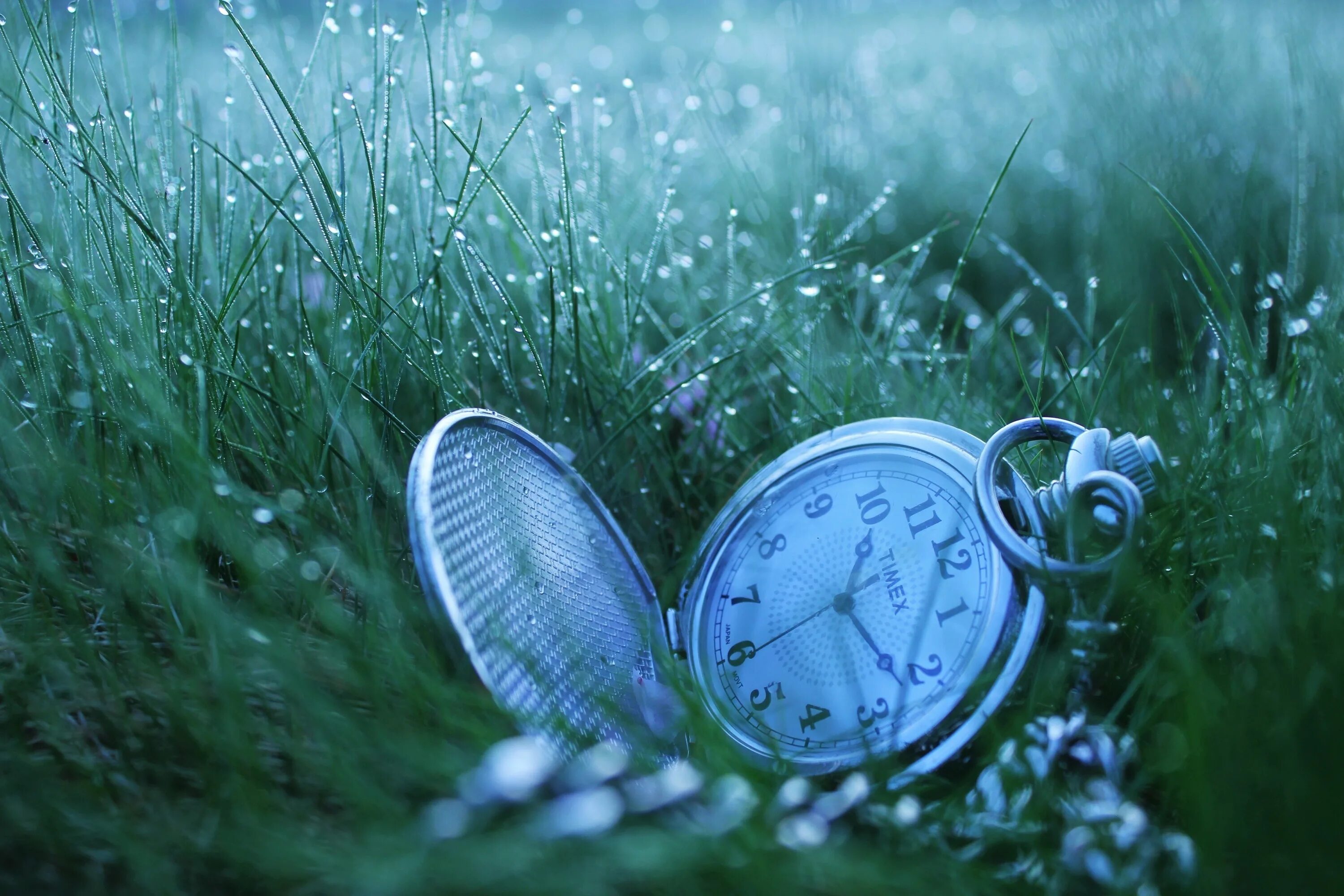 Картинка времени на телефон. Часы на природе. Часы на фоне природы. Время на природе. Красивые часы на природе.