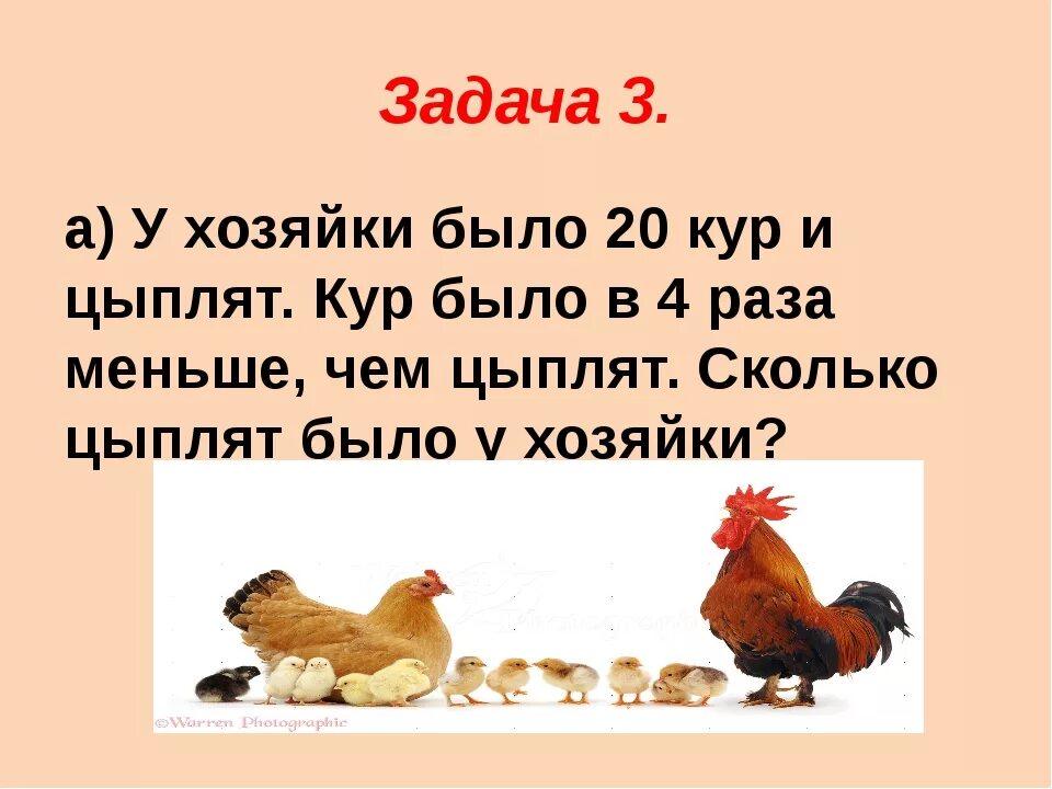 Курица первого дня. Задачки с курицами. Загадка про курятник. Загадка про курятник для детей. Курица с цыплятами задания для дошкольников.