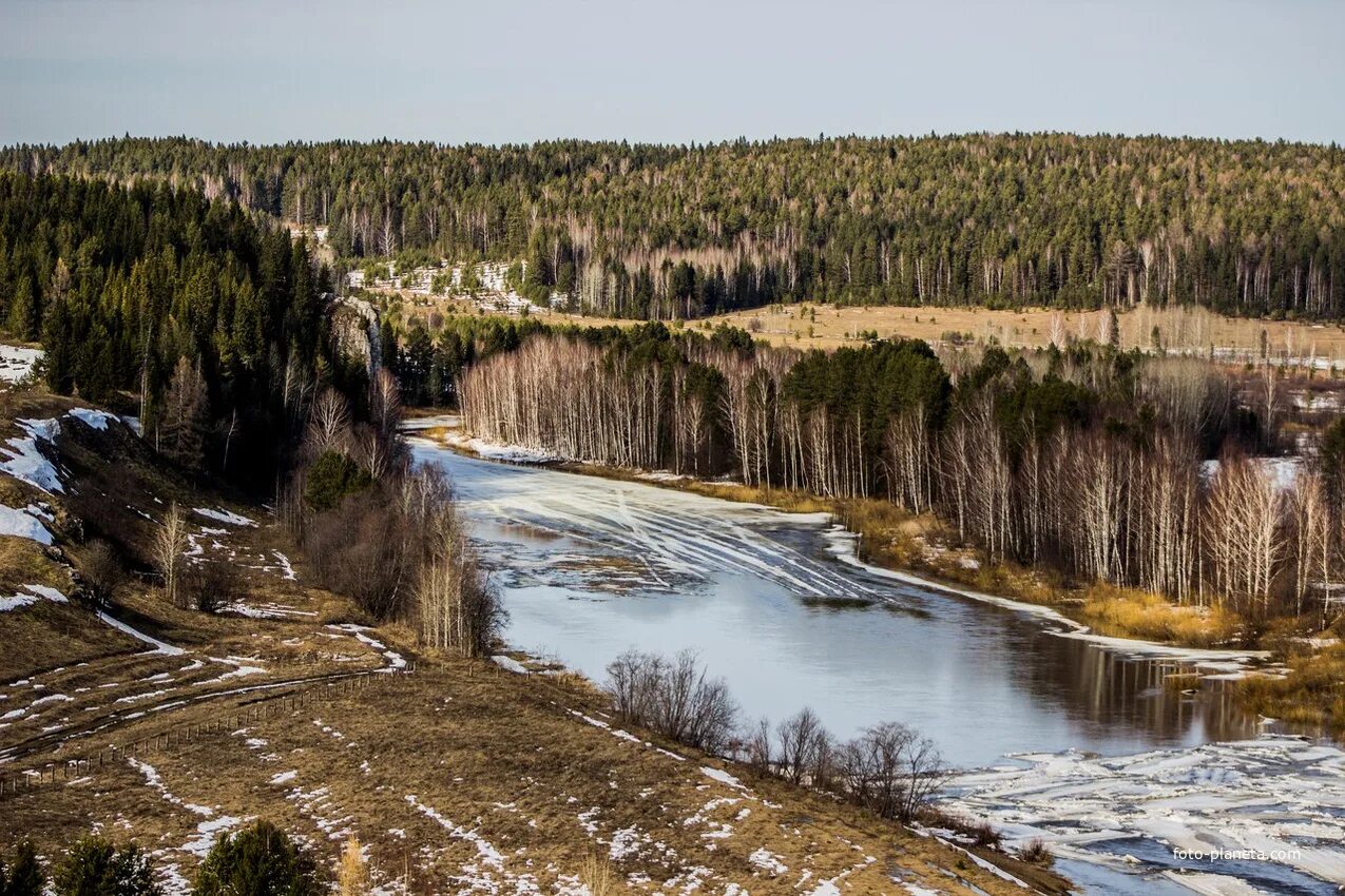 Прогноз погоды село свердловская. Река Чусовая Шалинский район. Чусовое Шалинский район. Чусовое Свердловская область. Село Чусовое Шалинский район.