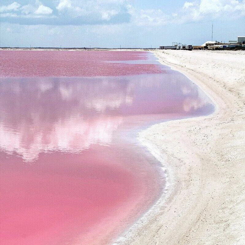 Почему розовый назвали розовым. Розовое озеро Сасык-Сиваш. Розовое море. Море в розовых тонах. Море розового цвета.