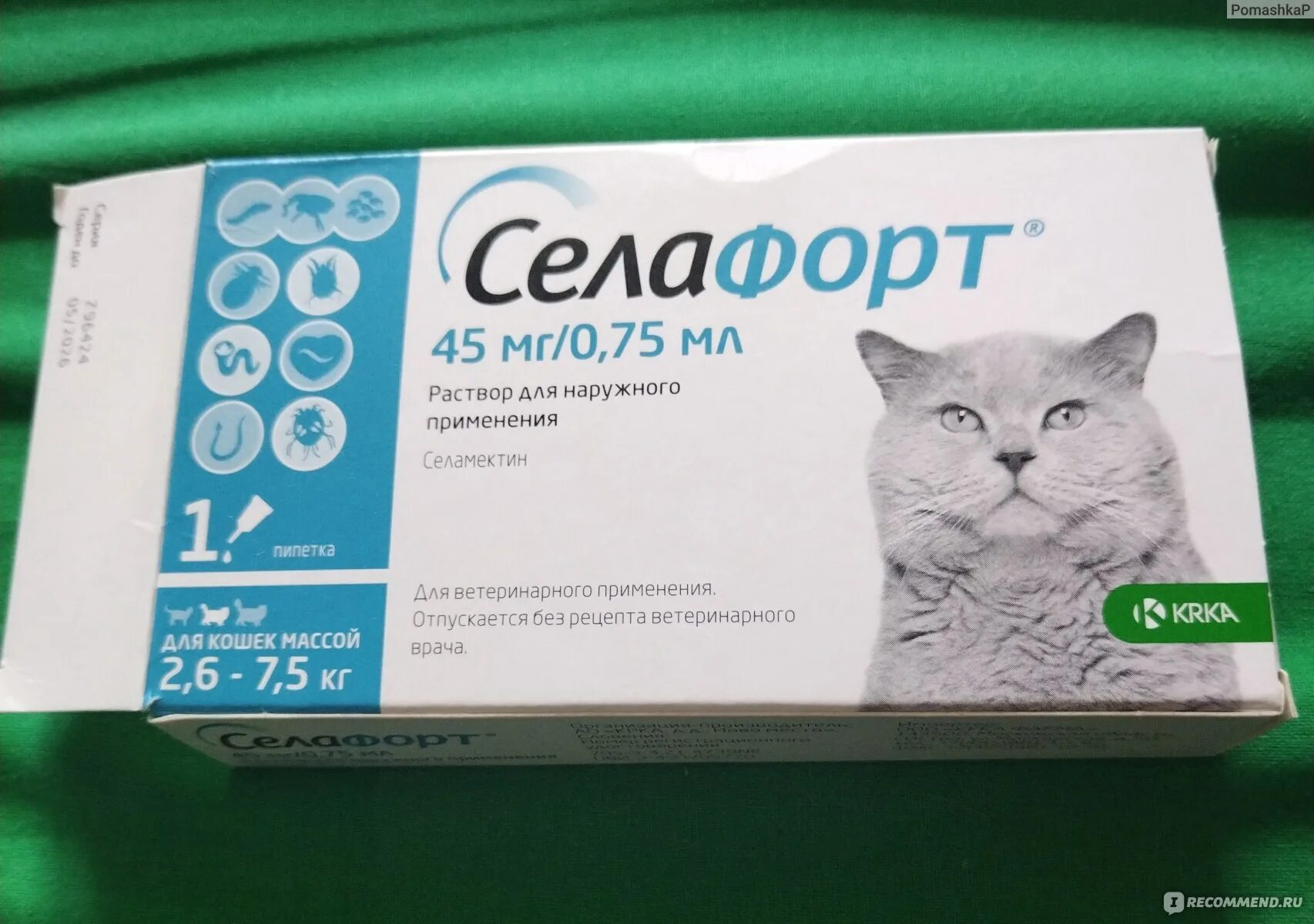 Селафорт для кошек 5 кг. Селафорт для котят. Селафорт 7,5. Селафорт для кошек весом от 2.6 до 7.5 кг. Селафорт для кошек до 5кг.