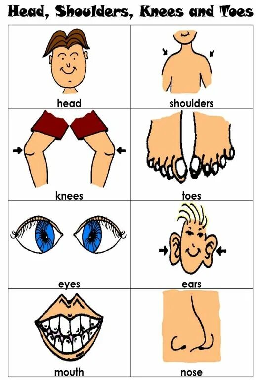 Eyes ears mouth nose. Части тела на английском для детей shoulders. head shoulders knees and toes eyes ears mouth and nose. head hair карточки для детей на английском. карточка toe.