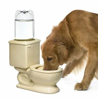 Поилка для кошек pet