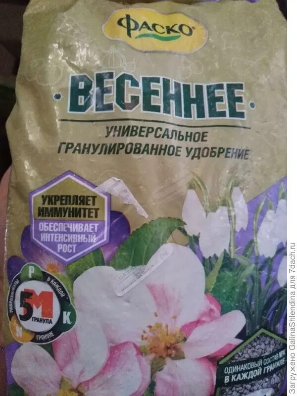 Подкормка тюльпанов весной для цветения