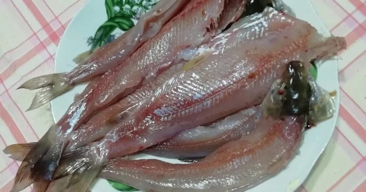 омуль байкальский малосольный. хариус филе. хариус какое мясо. хариус какое мясо. хариус какое мясо.