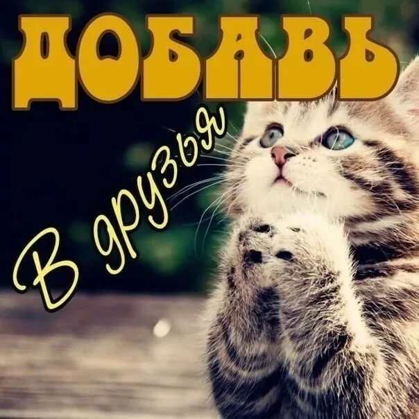 Добавь в подборку. Добавь в друзья. добавляйтесь в друзья. добавь меня в друзья. добавь в друзья картинки.