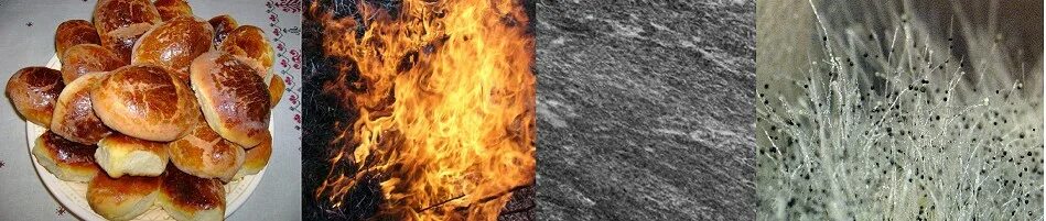 Сгоревший пирог. Горелые пирожки. сгоревшие пирожки. пирог горит.