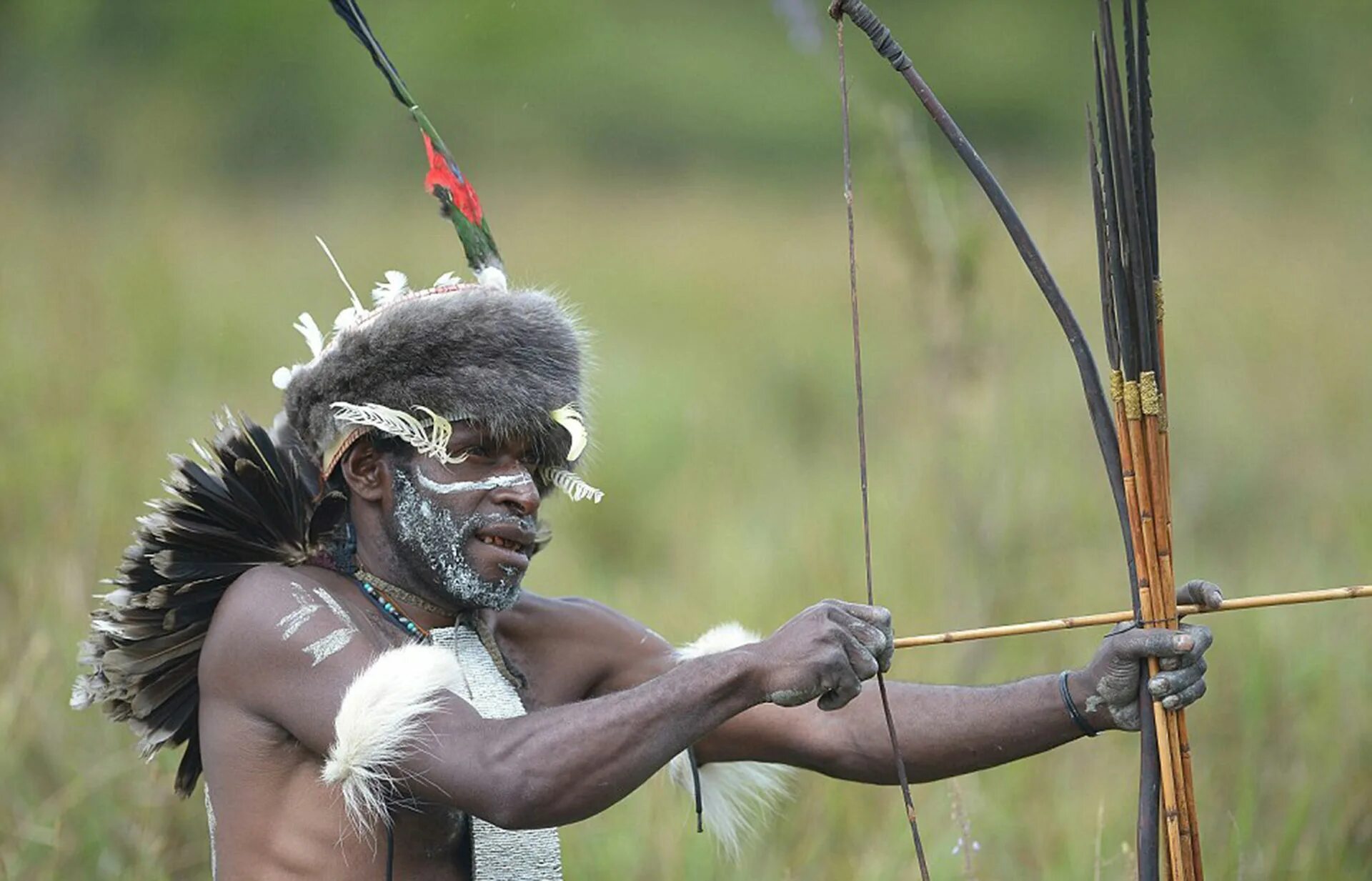 дикари новые