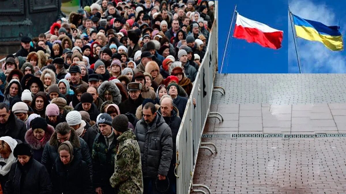 Толпа украинцев. Ккрпинцв бегут в Польшу. Мигранты украинцы. Миграция в Польше. Украинцы в 2024г