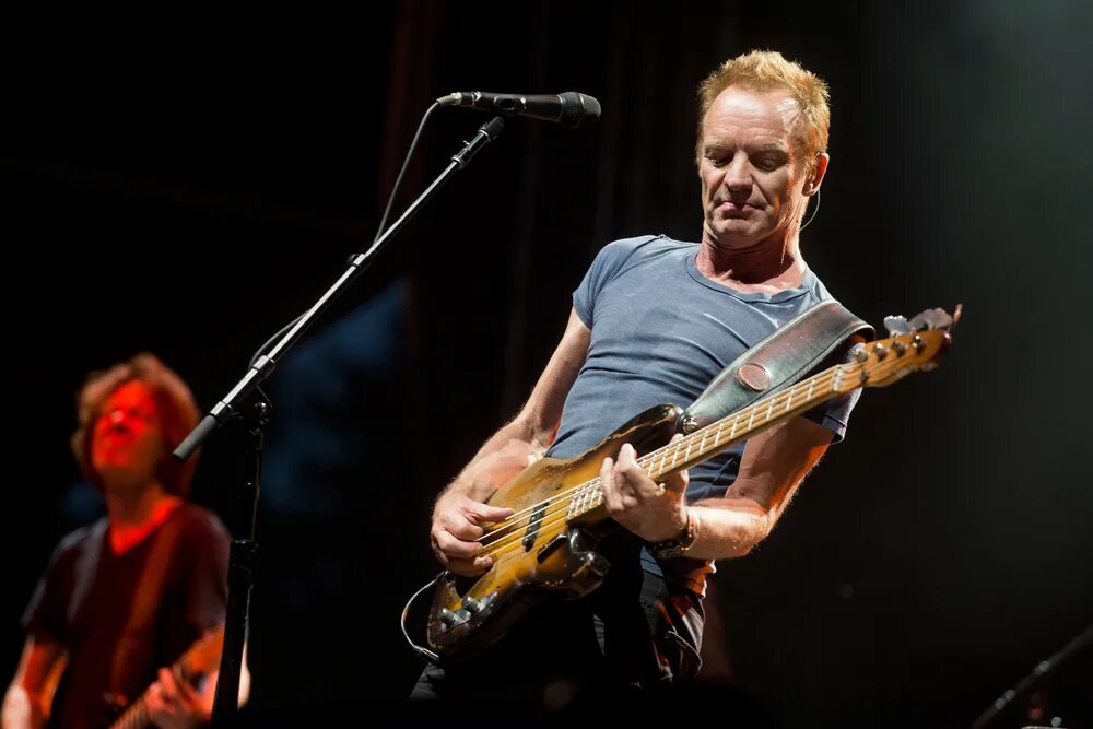 Sting. Стинг фото 2022. Стинг 2005. Стинг на концерте в молодости.