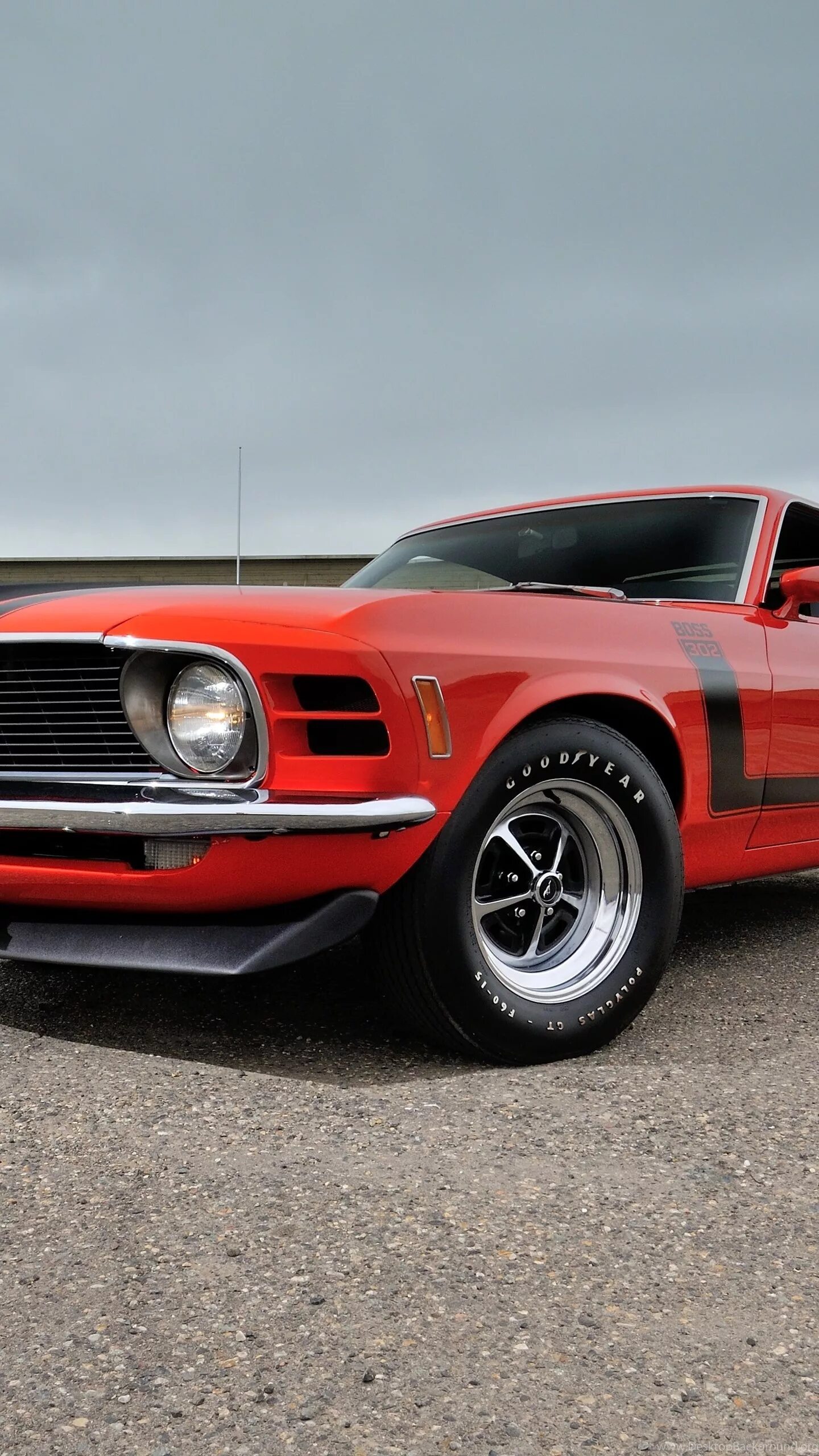 Ford Mustang Boss 302. Мустанг Boss 302. Ford Mustang Boss 302 1970. Ford Mustang Boss 1970. Page 54