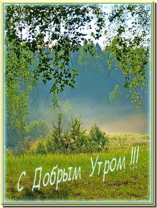 Доброе утро доброго дня природа. С дрбрымиутром природа. пожелания с добрым утром приро. пожелания с добрым утром с природой. доброе утро природа с надписью.