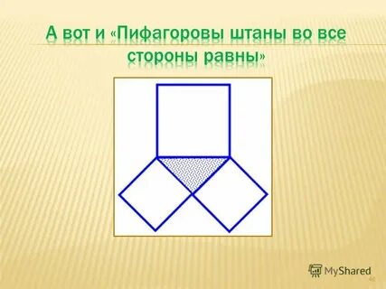 Пифагоровы штаны рисунок