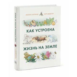 Как устроена жизнь