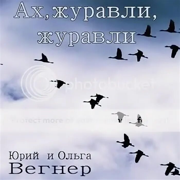 Мелодия журавли без слов. Платье для песни Журавли. Христианская песня Журавли текст.