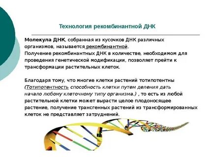 Метод рекомбинантных днк