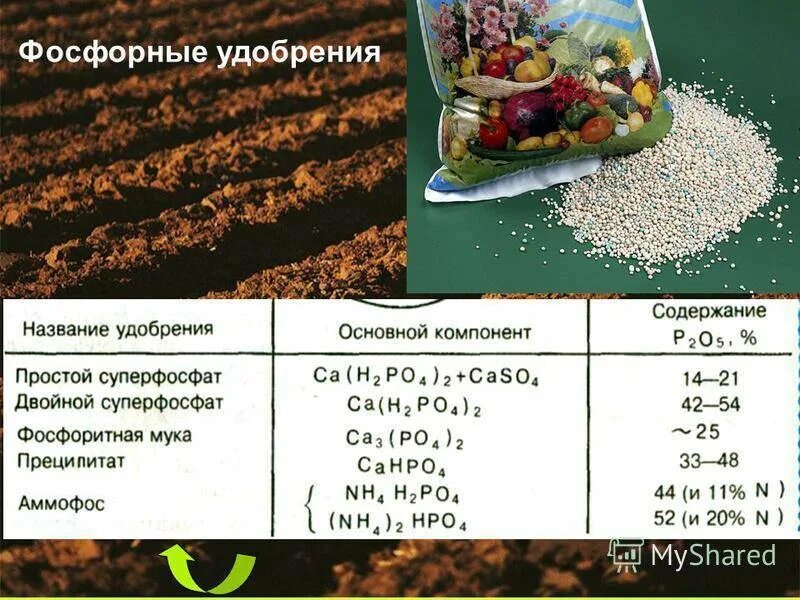 Чему способствуют фосфорные удобрения. Фосфорные удобрения названия. фосфорные удобрения формула химическая. фосфорная кислота удобрение. классификация фосфорных удобрений удобрений.