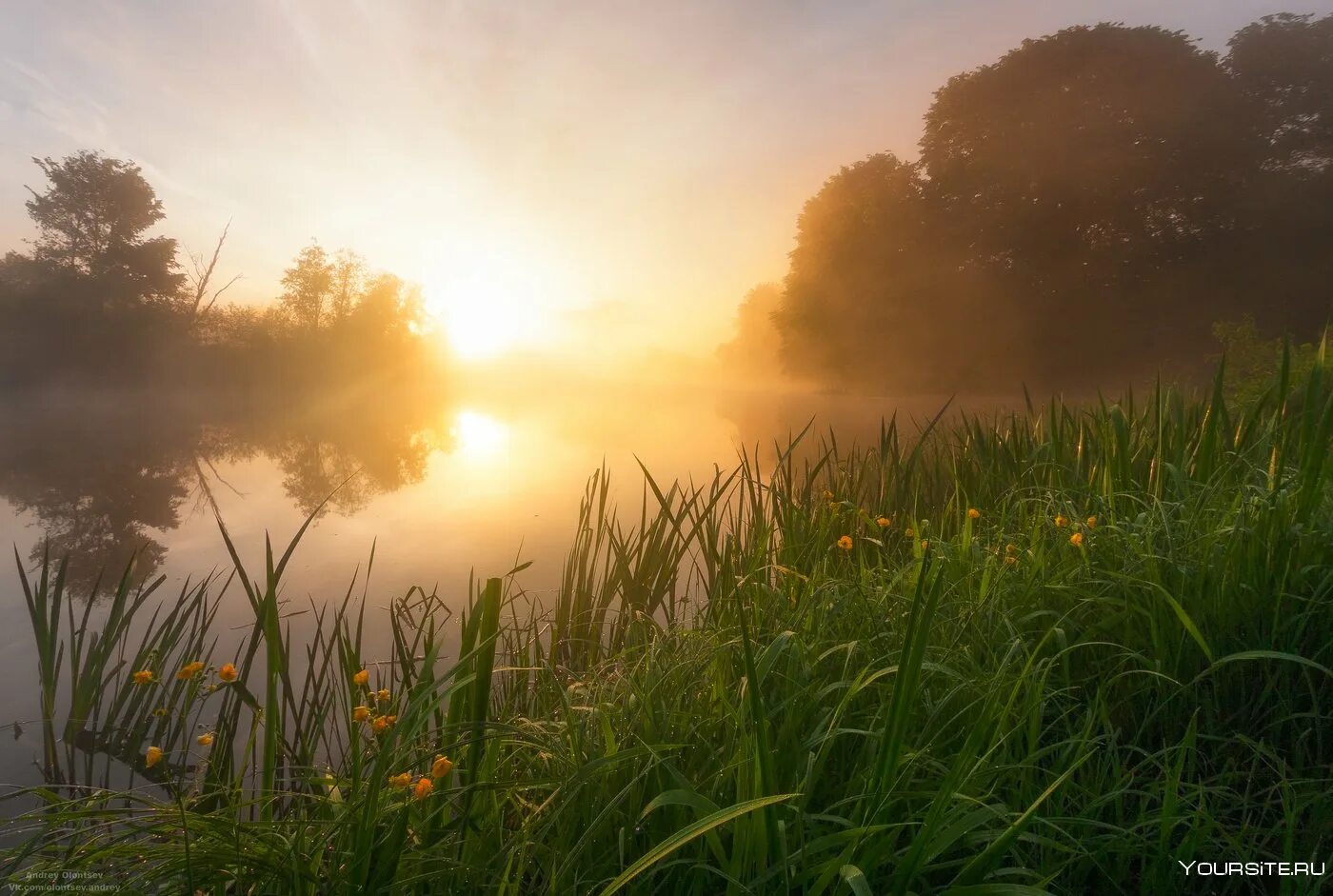Утреннее солнышко. Раннее утро. Утреннее солнышко. Утреннее солнце. Утреннее солнышко.