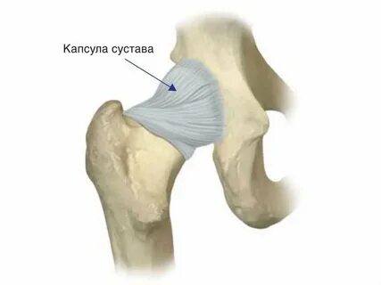Капсульно связочного аппарата суставов