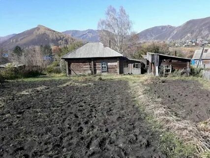 Погода с березовка алтайский край