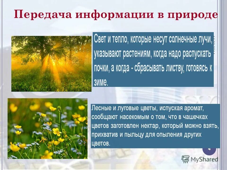 Техногенный материальный ресурс: найдено 84 картинок
