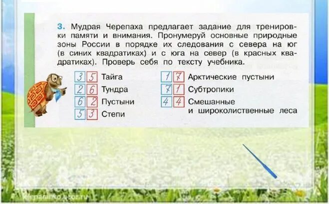 Мудрая черепаха хочет знать. Пронумеруй основные природные зоны России. Мудрая черепаха предлагает задание для тренировки памяти и внимания. Мудрая черепаха предлагает задание для тренировки задания. Природные зоны 4 класс окружающий мир.