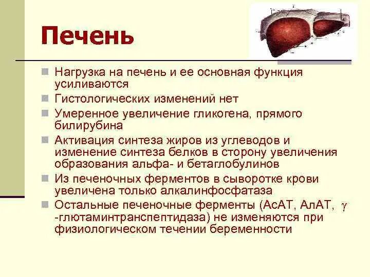 Как снизить нагрузку на печень. Нагрузка на печень причины.