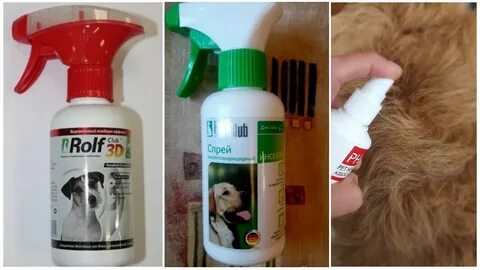 Собака клещ лечение народными средствами